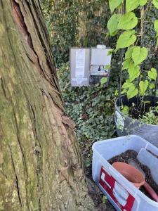 landscape-lighting-gallery1