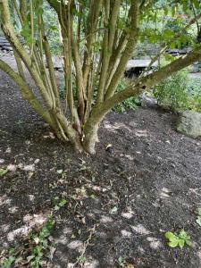 landscape-lighting-gallery12