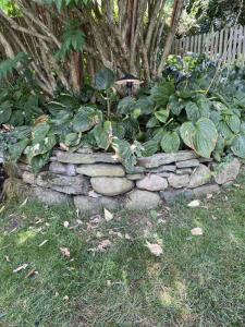 landscape-lighting-gallery15