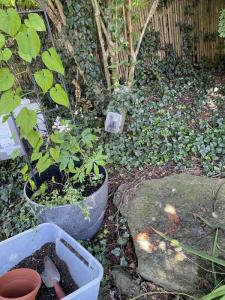 landscape-lighting-gallery2