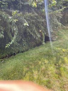 landscape-lighting-gallery20