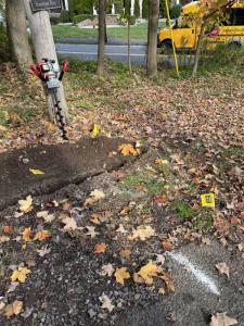 landscape-lighting-gallery24