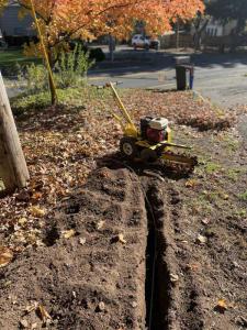 landscape-lighting-gallery36