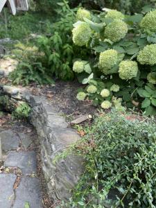 landscape-lighting-gallery4