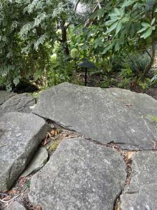 landscape-lighting-gallery6