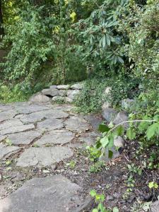 landscape-lighting-gallery7