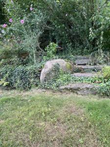 landscape-lighting-gallery9